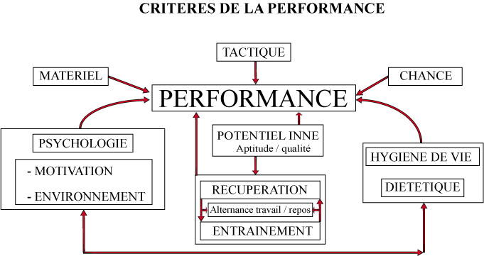 Les différents critères de la performance